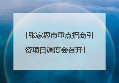 张家界市重点招商引资项目调度会召开