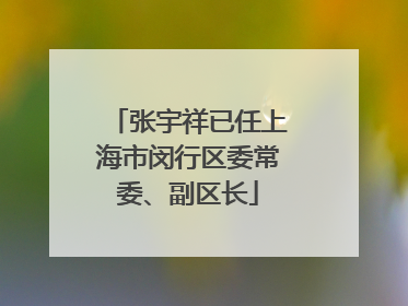 张宇祥已任上海市闵行区委常委、副区长