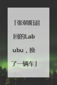 张朝阳退回的Labubu，换了一辆车