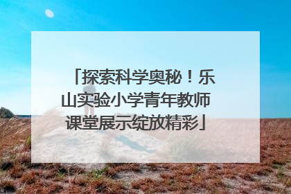 探索科学奥秘！乐山实验小学青年教师课堂展示绽放精彩