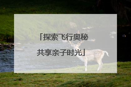 探索飞行奥秘 共享亲子时光