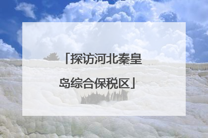 探访河北秦皇岛综合保税区