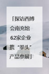 探访西博会南充馆 62家企业携“拳头”产品参展