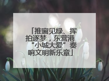 推窗见绿、挥拍逐梦，东营港“小城大爱”奏响文明新乐章