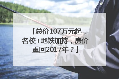 总价107万元起，名校+地铁加持，房价重回2017年？
