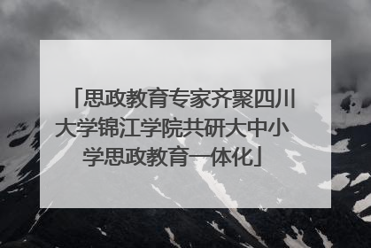 思政教育专家齐聚四川大学锦江学院共研大中小学思政教育一体化
