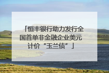 恒丰银行助力发行全国首单非金融企业美元计价“玉兰债”