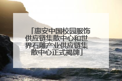 惠安中国校园服饰供应链集散中心和世界石雕产业供应链集散中心正式揭牌
