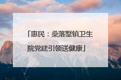 惠民：桑落墅镇卫生院党建引领送健康