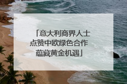 意大利商界人士点赞中欧绿色合作蕴藏黄金机遇