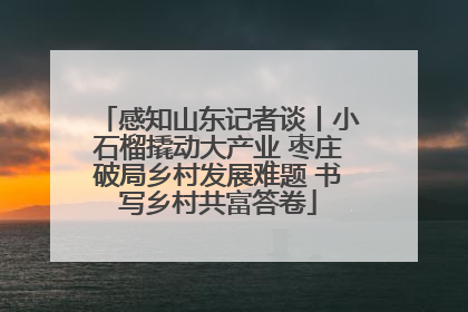 感知山东记者谈丨小石榴撬动大产业 枣庄破局乡村发展难题 书写乡村共富答卷