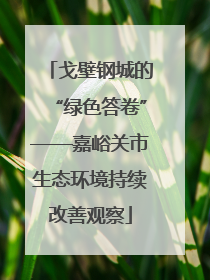 戈壁钢城的“绿色答卷”——嘉峪关市生态环境持续改善观察