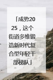 成势2025，这个街道多维锻造新时代复合型年轻干部梯队