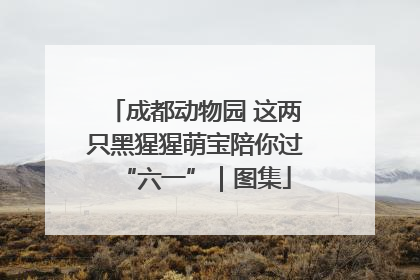 成都动物园 这两只黑猩猩萌宝陪你过“六一”｜图集