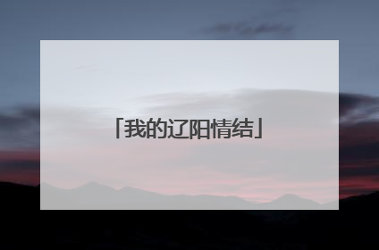 我的辽阳情结