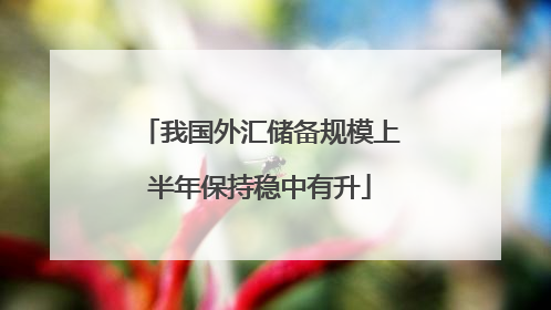 我国外汇储备规模上半年保持稳中有升