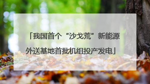 我国首个“沙戈荒”新能源外送基地首批机组投产发电