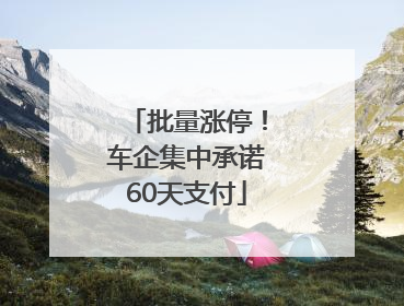 批量涨停！车企集中承诺60天支付