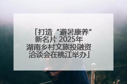 打造“避暑康养”新名片 2025年湖南乡村文旅投融资洽谈会在桃江举办