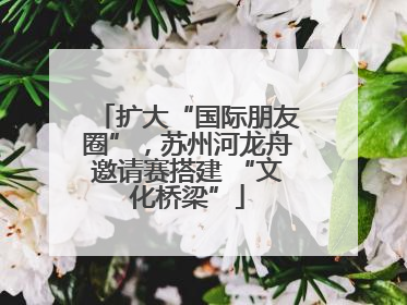 扩大“国际朋友圈”，苏州河龙舟邀请赛搭建 “文化桥梁”