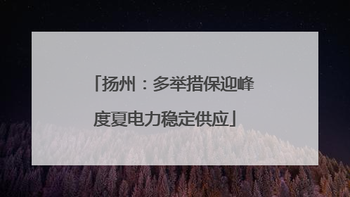 扬州：多举措保迎峰度夏电力稳定供应