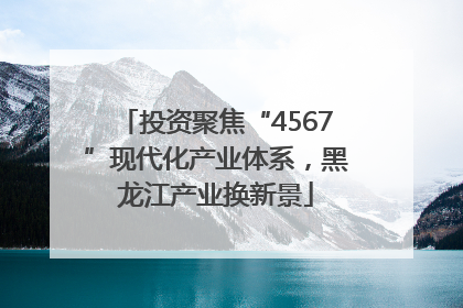 投资聚焦“4567”现代化产业体系，黑龙江产业换新景