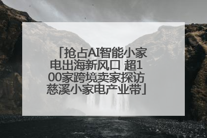 抢占AI智能小家电出海新风口 超100家跨境卖家探访慈溪小家电产业带