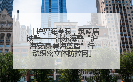 护碧海净浪，筑蓝盾铁壁——浦东海警“沪海安澜·碧海蓝盾”行动织密立体防控网