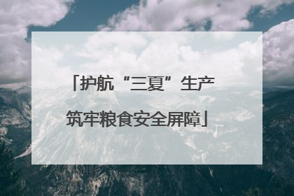 护航“三夏”生产 筑牢粮食安全屏障