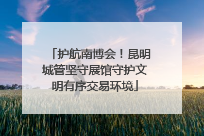 护航南博会！昆明城管坚守展馆守护文明有序交易环境