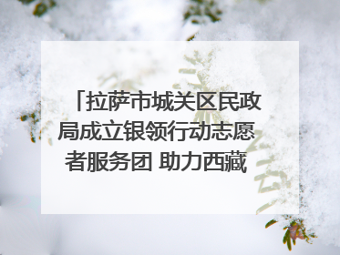 拉萨市城关区民政局成立银领行动志愿者服务团 助力西藏银发经济发展