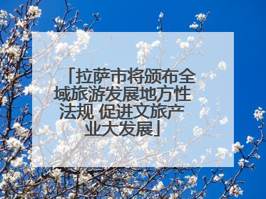 拉萨市将颁布全域旅游发展地方性法规 促进文旅产业大发展