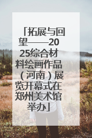 拓展与回望——2025综合材料绘画作品（河南）展览开幕式在郑州美术馆举办