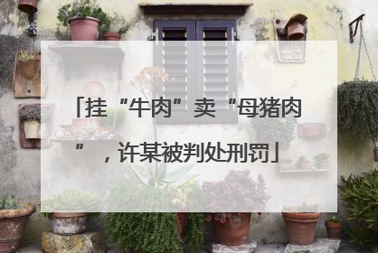 挂“牛肉”卖“母猪肉”，许某被判处刑罚