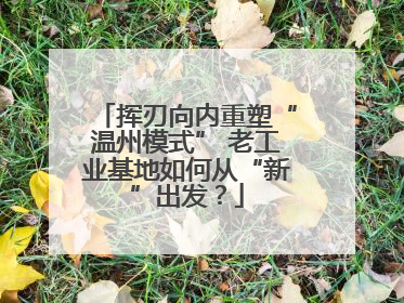 挥刃向内重塑“温州模式” 老工业基地如何从“新”出发？