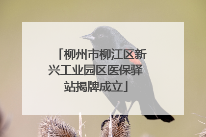 柳州市柳江区新兴工业园区医保驿站揭牌成立