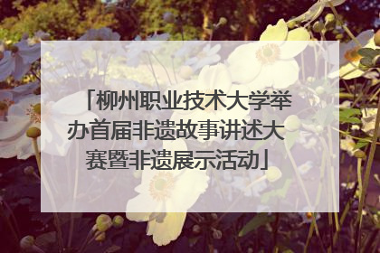 柳州职业技术大学举办首届非遗故事讲述大赛暨非遗展示活动