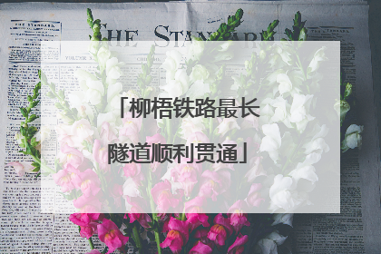 柳梧铁路最长隧道顺利贯通