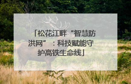 松花江畔“智慧防洪网”：科技赋能守护高铁生命线