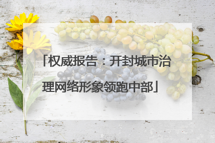 权威报告：开封城市治理网络形象领跑中部