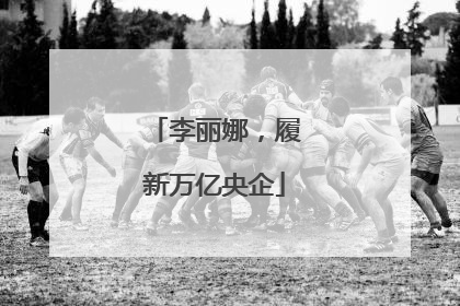 李丽娜，履新万亿央企