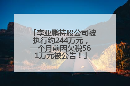 李亚鹏持股公司被执行约244万元，一个月前因欠税561万元被公告！