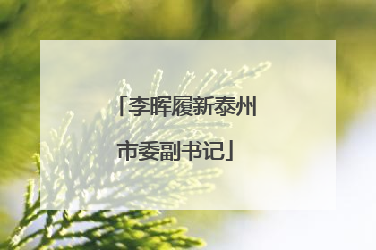 李晖履新泰州市委副书记