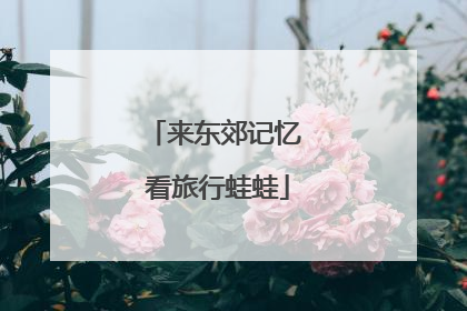 来东郊记忆 看旅行蛙蛙