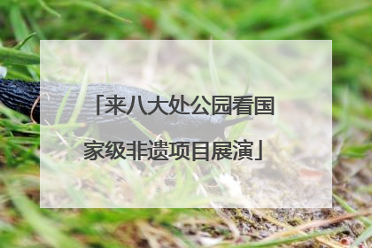 来八大处公园看国家级非遗项目展演