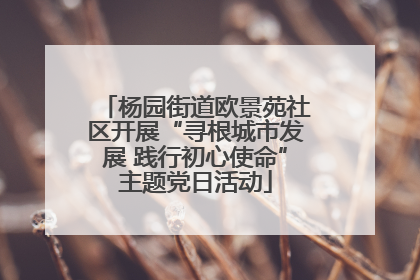 杨园街道欧景苑社区开展“寻根城市发展 践行初心使命”主题党日活动