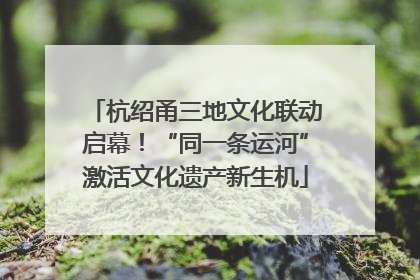 杭绍甬三地文化联动启幕！“同一条运河”激活文化遗产新生机
