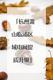 杭州萧山临浦区域电网提质升级