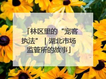 林区里的“宠客执法”｜湖北市场监管所的故事
