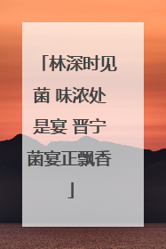 林深时见菌 味浓处是宴 晋宁菌宴正飘香